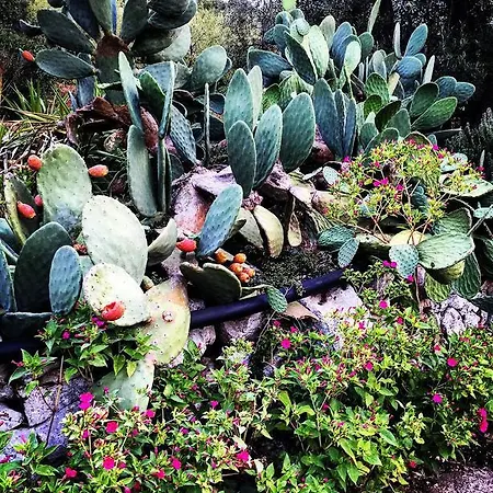 Giulia Alojamento de Acomodação e Pequeno-almoço 4*