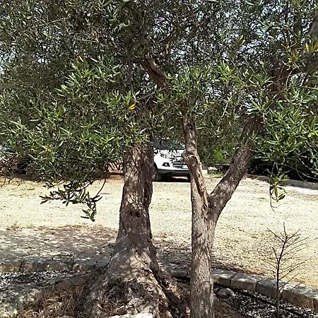 Alojamento de Acomodação e Pequeno-almoço Giulia Castellana Grotte