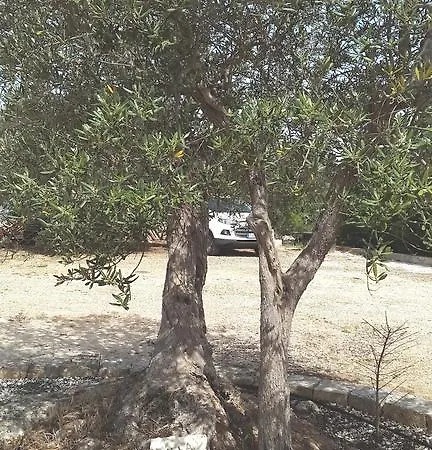 Giulia 4* Castellana Grotte